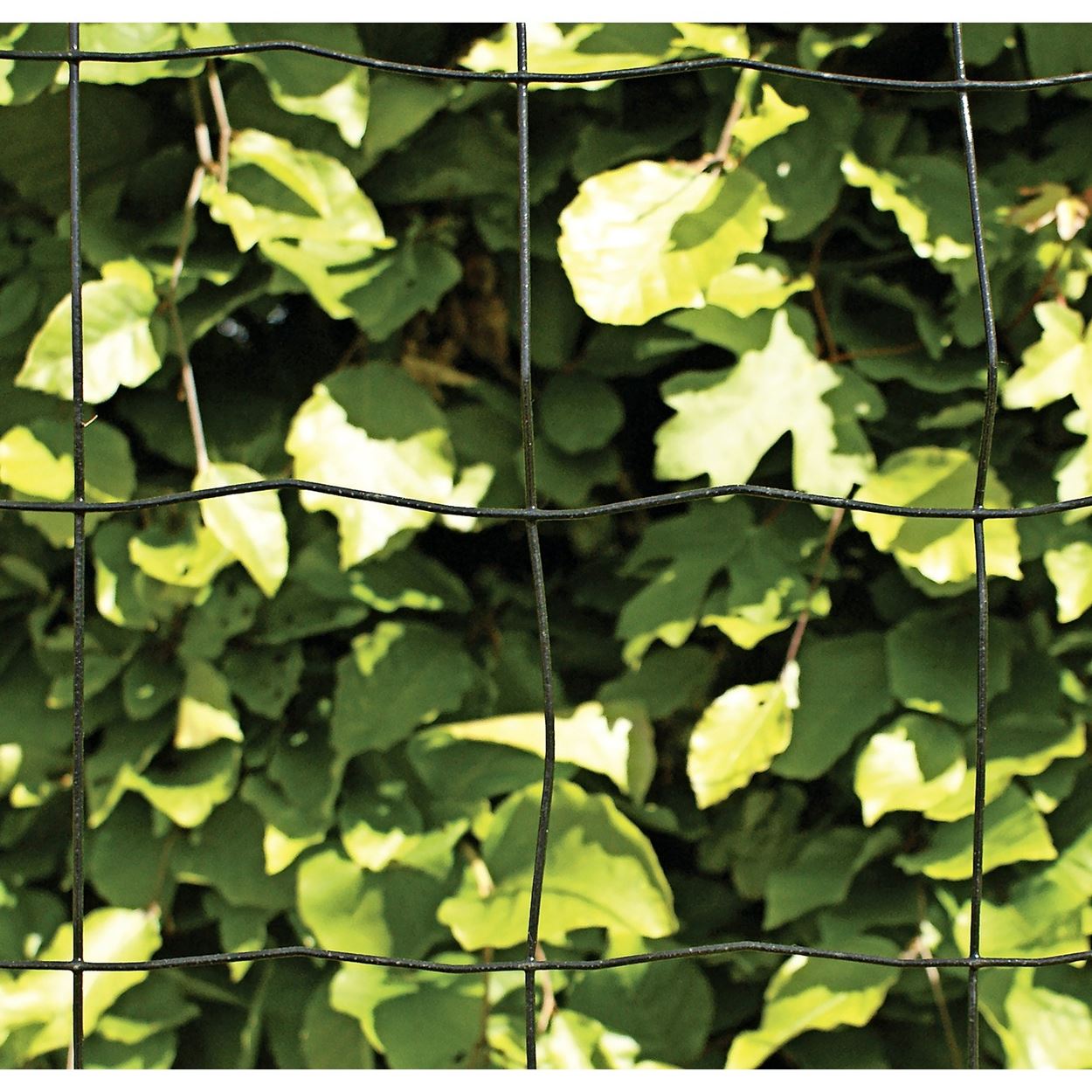 Tr dhegn Sort 90 Cm X 25 Mtr tr-dhegn-sort-90-cm-x-25-mtr