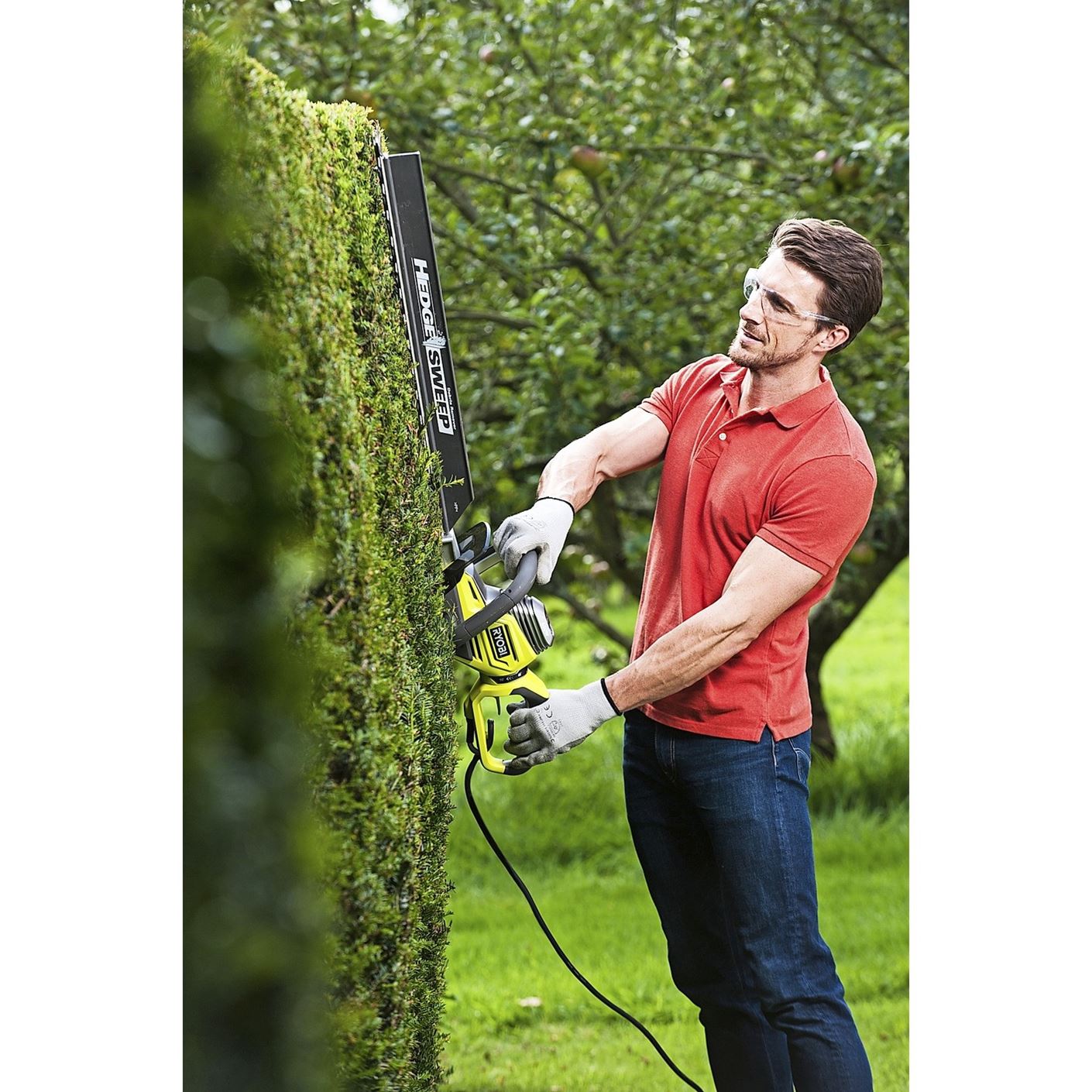 Ryobi RHT6760RL Tagliasiepi 650W - Lame Laser Con Affilatura Diamantata - Foto 3