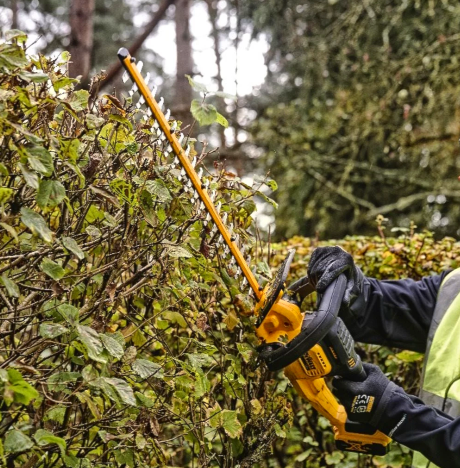 Dewalt 18V XR Hækkeklipper
