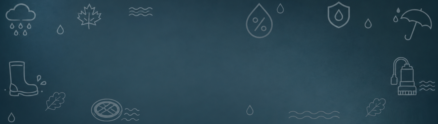 Regn, fugt og efterår